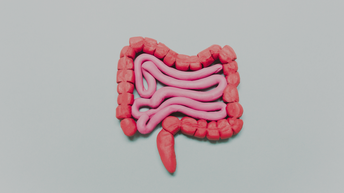 Strategies for improving motility in the gastrointestinal tract