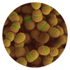 Streptococcus salivarius M18 (BLIS M18™)