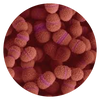 Streptococcus salivarius K12 (BLIS K12™)